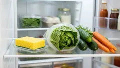 Sieni jääkaapissa: yksinkertainen temppu, jota kokeneet kotirouvat käyttävät