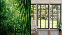 Lasia ei enää tarvita? Kiinassa testataan läpinäkyvistä bambusta valmistettuja ikkunoita