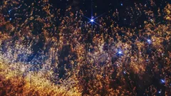 James Webb Space Telescope -teleskooppi on ottanut tarkimman kuvan Helix-sumusta.